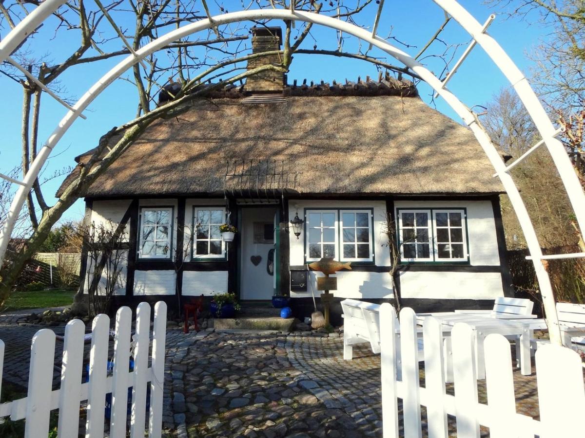 Ferienhaus Rikate Kappeln Buitenkant foto